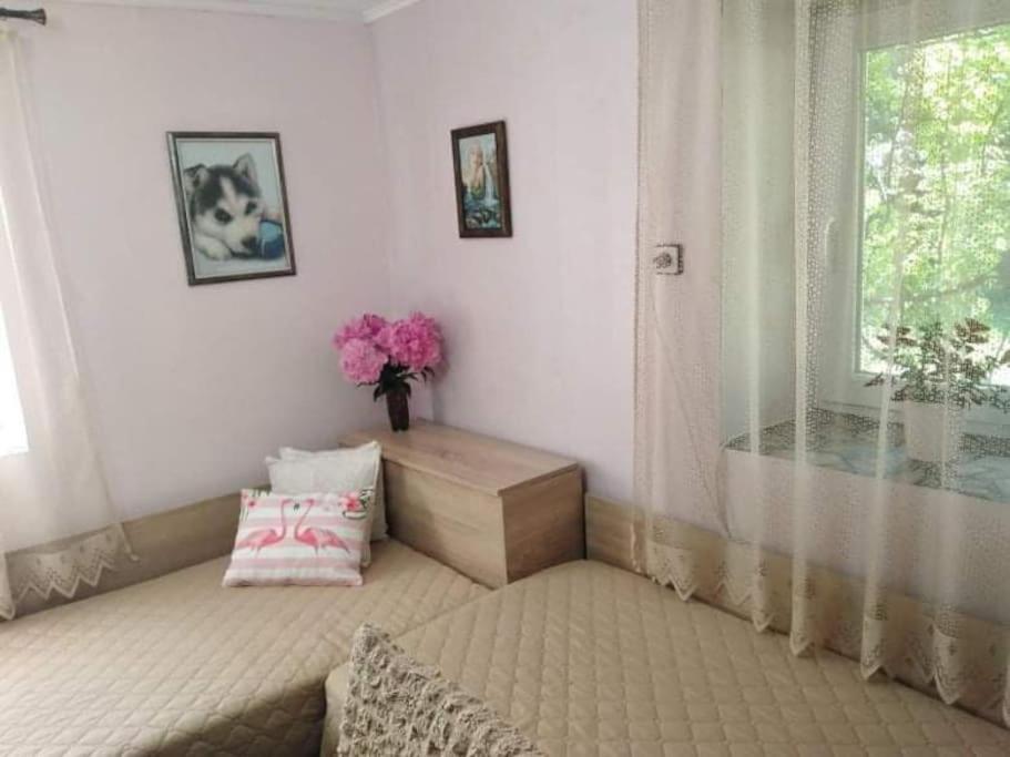 Lovely In With Garden And Garage