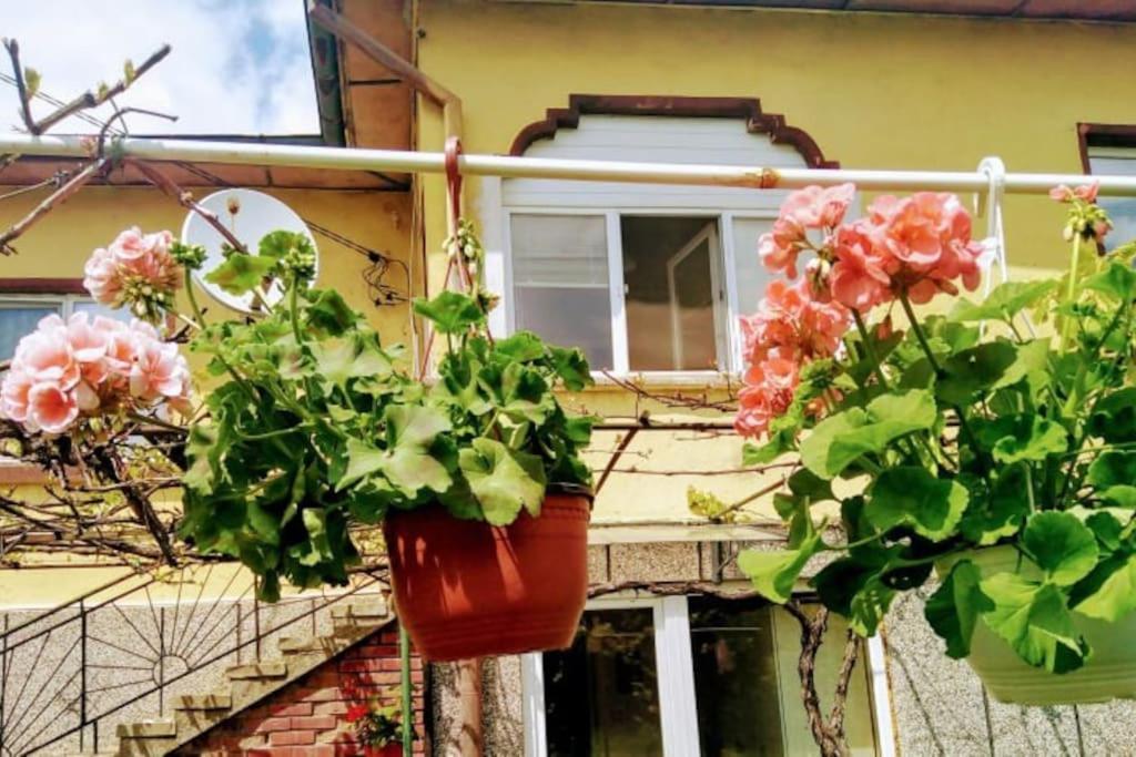 Lovely In With Garden And Garage Dragoman